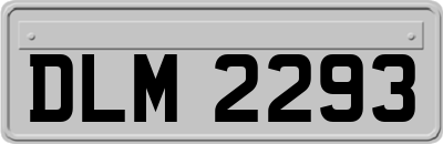 DLM2293