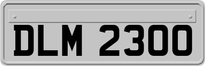 DLM2300