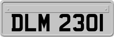 DLM2301