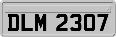 DLM2307