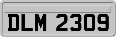 DLM2309