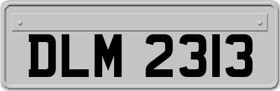 DLM2313