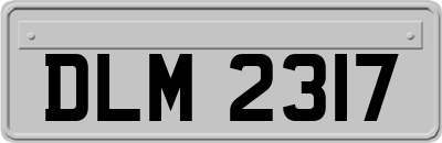 DLM2317