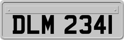 DLM2341