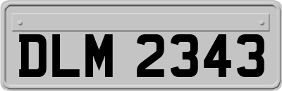 DLM2343
