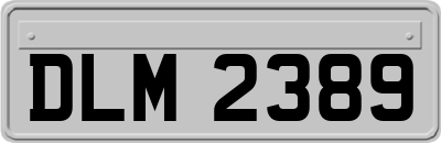 DLM2389