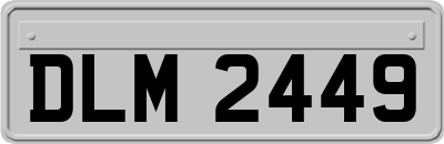 DLM2449