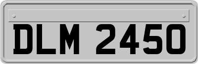 DLM2450