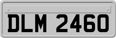 DLM2460