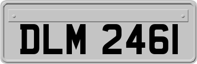 DLM2461