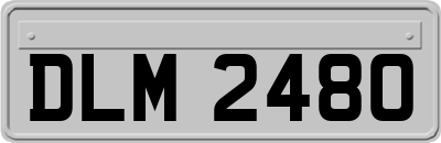DLM2480