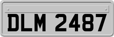 DLM2487