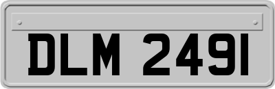 DLM2491