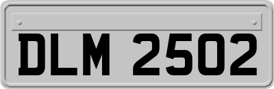 DLM2502