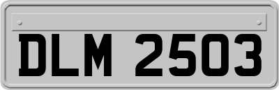 DLM2503