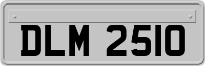 DLM2510