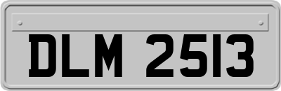 DLM2513