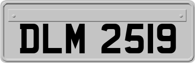 DLM2519