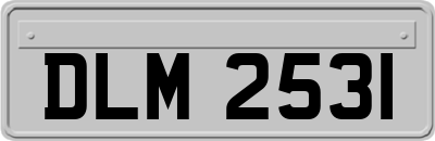 DLM2531