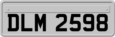 DLM2598