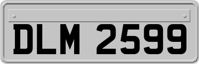 DLM2599