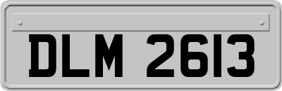 DLM2613