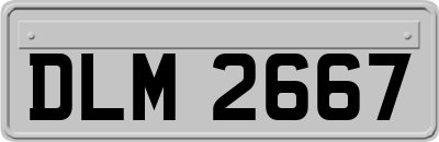 DLM2667