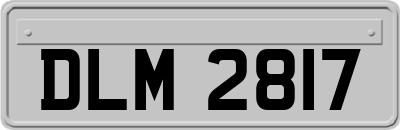 DLM2817