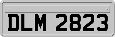 DLM2823