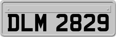 DLM2829