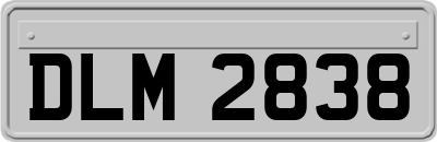 DLM2838
