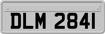 DLM2841