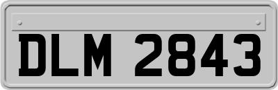 DLM2843