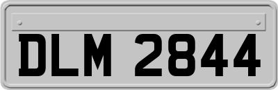 DLM2844