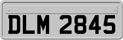 DLM2845