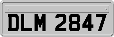DLM2847