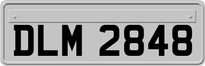 DLM2848