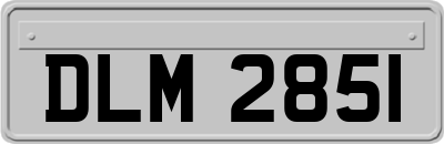 DLM2851