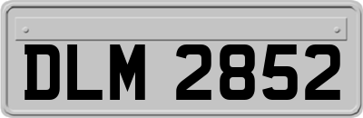 DLM2852