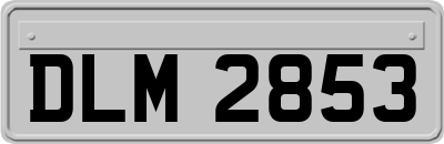 DLM2853