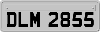 DLM2855