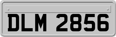DLM2856