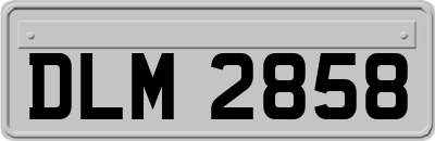 DLM2858