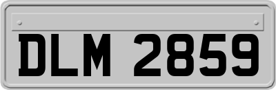 DLM2859