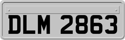 DLM2863
