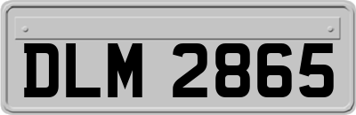 DLM2865