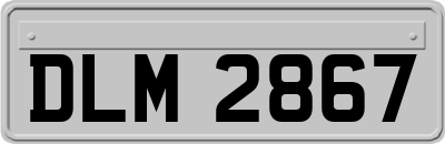 DLM2867