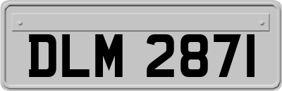 DLM2871