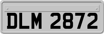 DLM2872