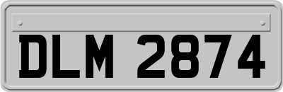DLM2874